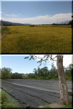 長野県まで