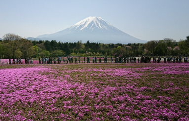 富士山