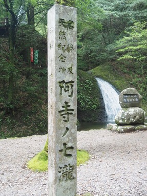 新城へお出かけ